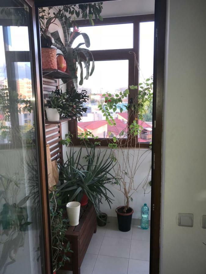 Luxury Apartment Mihai Bravu 布加勒斯特 外观 照片